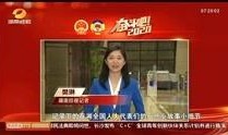 湖南农村爆料新闻报道视频,揭露农村现状，聚焦民生问题